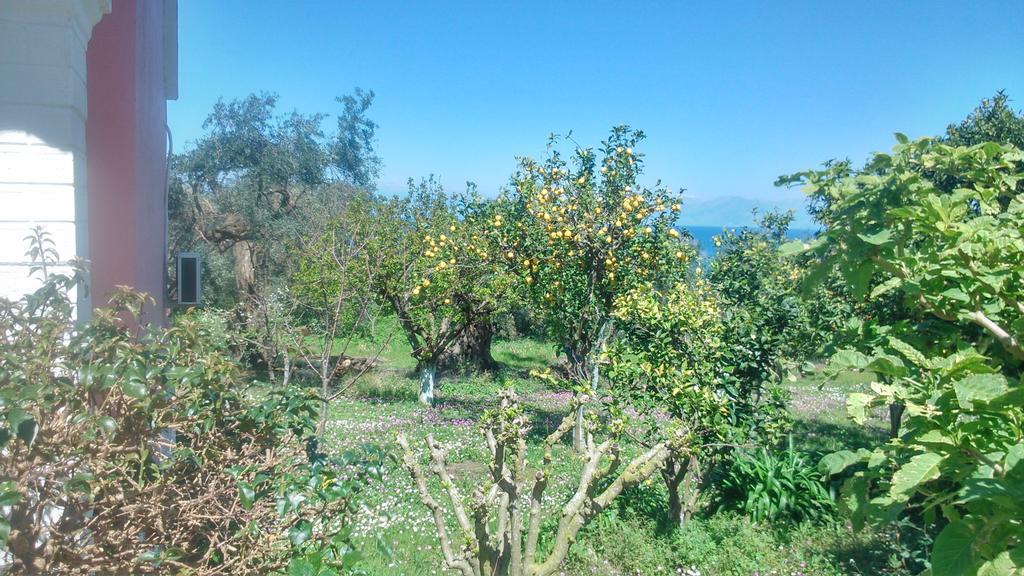 Maria's Paradise Astrakeri Bagian luar foto
